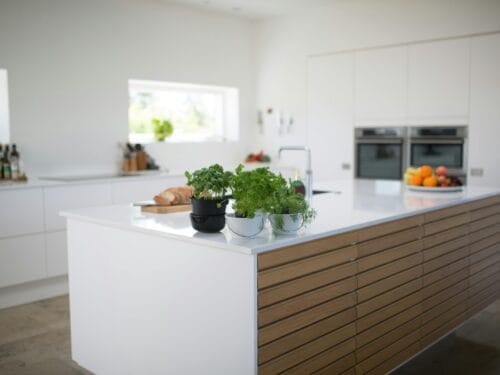 Spacious, light-filled kitchen with modern design and fresh herbs on the counter. Newsletter